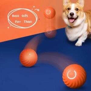 Interactive Dog Ball Toy, Bite-Resistant